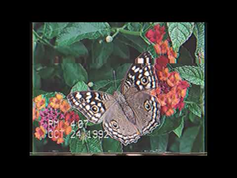 (FREE) J.I.D X EarthGang X Denzel Curry Type Beat - Breaking Bad