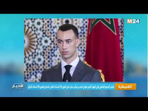 ‎⁨نشاط أميري ⁩