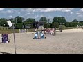 À vendre (ou échange) jument 8 ans classée 125/130