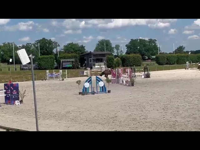 &Agrave; vendre (ou &eacute;change) jument 8 ans class&eacute;e 125/130