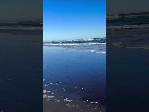 🌊 Hermosa vista a la playa de Puerto Saavedra 😍