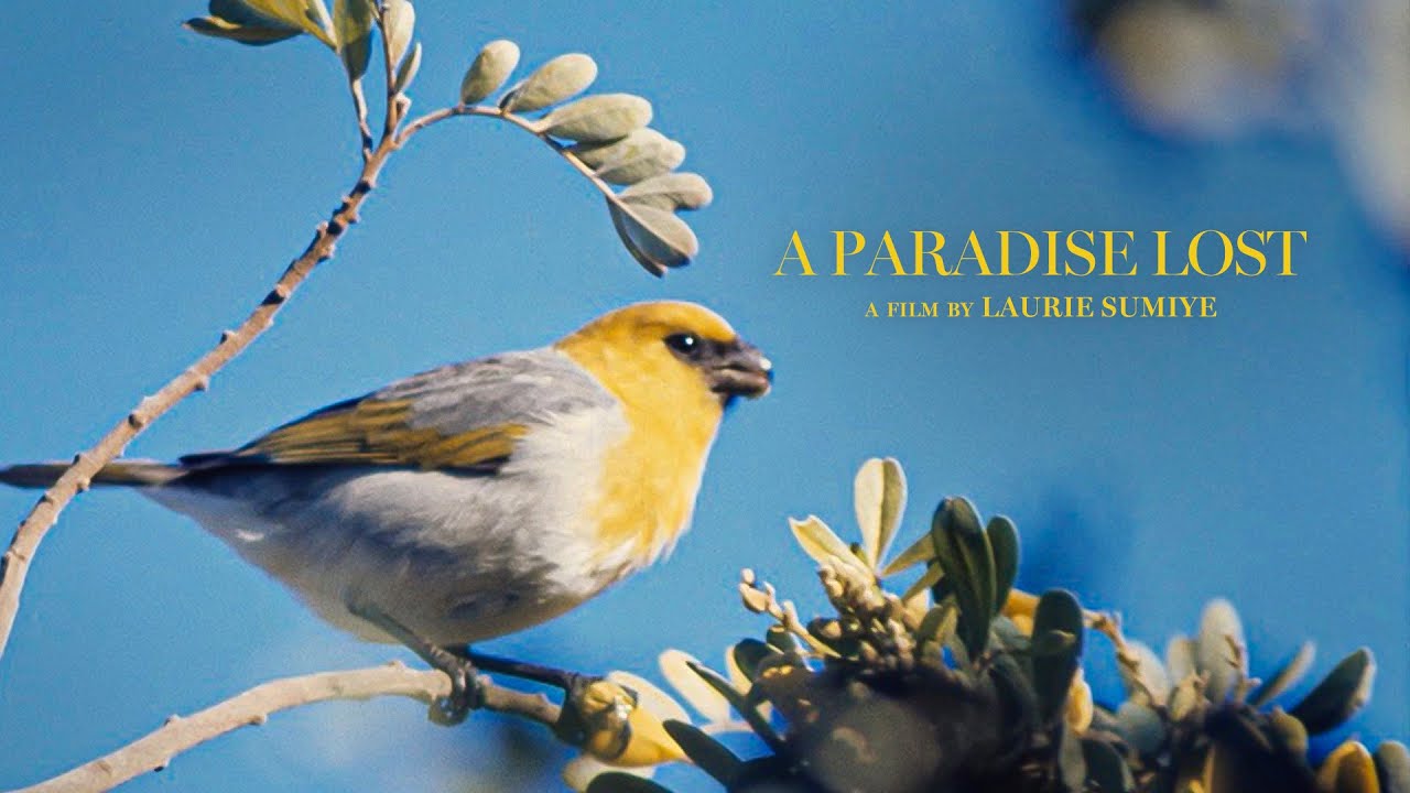 A PARADISE LOST TRAILER