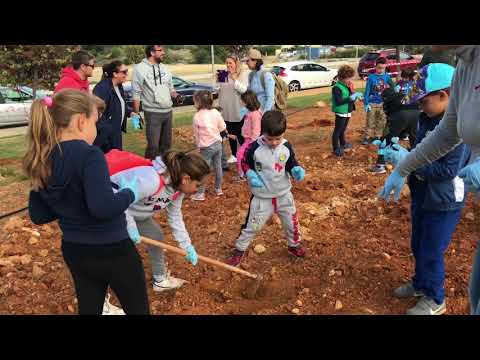 Arbolada en Alhaurn de la Torre. 19 Noviembre 2017