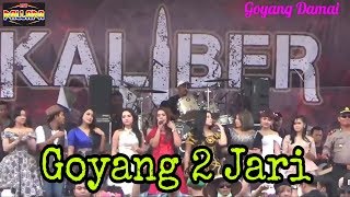 Download lagu Goyang 2 Jari - All Artis New Pallapa Kaliber 2018 mp3