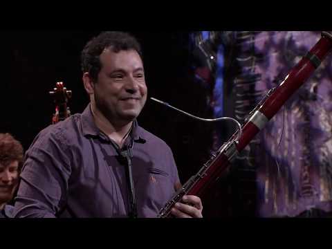 Alexandre Silvério | Mr. Bassoon (Alexandre Silvério) | Instrumental Sesc Brasil