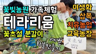 꽃빛농원 가족체험활동 / 꽃초설 야생화 분갈이 체험 / 테라리움 화분만들기 / 가족과 함께 하는 농장 체험