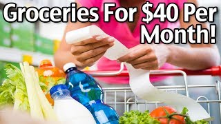 Groceries For $40 Per Month!