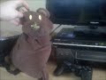 No Hare Bear Watches The Sony Pictures Television Logo In Short Circuit Request Video For A Smith