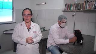 Miniatura do vídeo