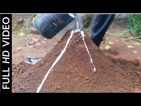 Casting a Giant Ant-House 👌 | Amazing video | with relaxing nature