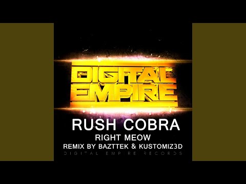 Right Meow (Kustomiz3d Remix)