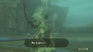 #4 ゼルダの伝説 ティアーズオブザキングダムを思いのままに遊ぶ。4