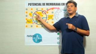 Potencial de membrana em repouso - Fisiologia Fácil