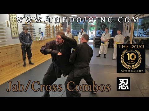 Jab and Cross Combos - The Dojo Martial Arts