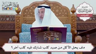 [93] متى يحل الأكل من صيد كلب شارك فيه كلب آخر؟ - عثمان الخميس