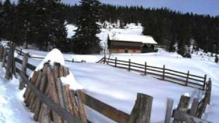 preview picture of video 'XEIS Schneeschuh Dürrenschöberl 20100124.wmv'