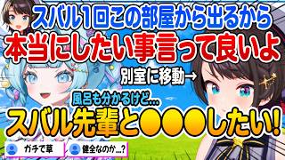 本当に大空スバルとやりたいことを本人不在の中ぶっちゃける水宮枢【ホロライブ 切り抜き】