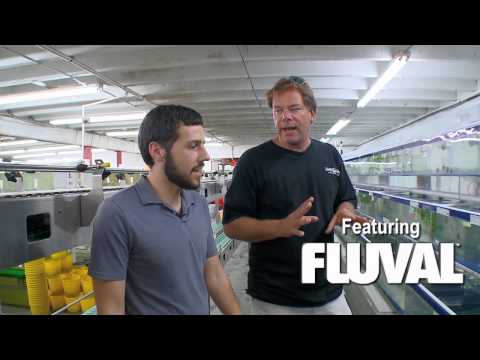 VIP tour of Segrest Farms, the freshwater facilities