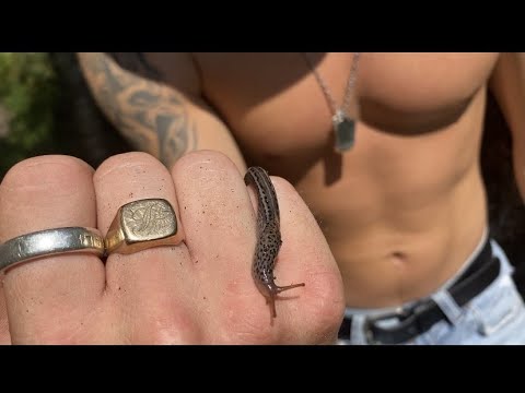 "BEER GRYLLS" Max vs Wild | Kungsbacka Forest