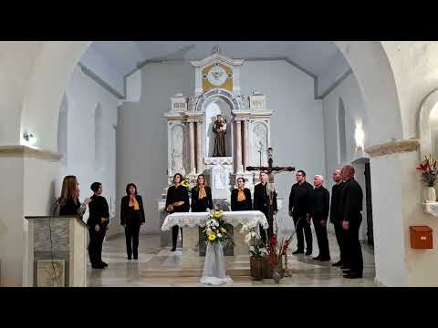 O, Marijo Majko - Gradski pjevački zbor "Neuma"