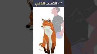 فن التعامل مع زملاء العمل