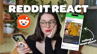 HOUSEPLANT REDDIT | oozing cactus, selling dead plants, and more 😬🤦🏻♀️🪴