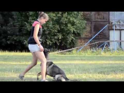 Hetty Aykmar - Obedience