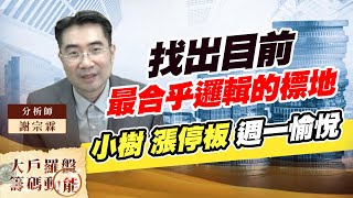 找出目前最合乎邏輯的標地 小樹 漲停板 週一愉悅 (圖)