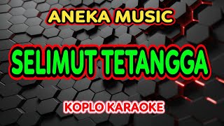 Download lagu SELIMUT TETANGGA KARAOKE - ANEKA MUSIC @koplokaraooke mp3