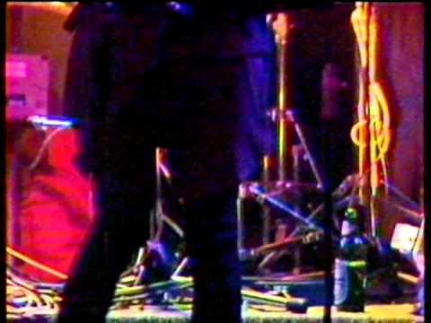 Bush Tetras "Too Many Creeps"