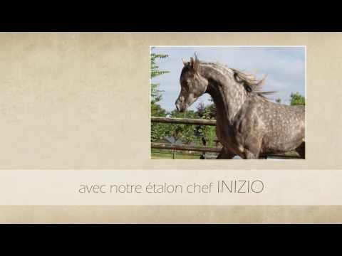 Les moments forts de 2013