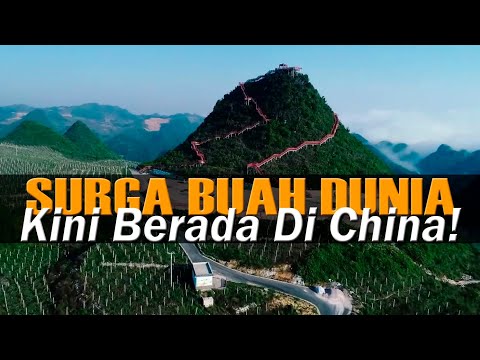 , title : 'Pesona Sentra Pertanian Modern Surga Buah & Sawah Langit Di China'