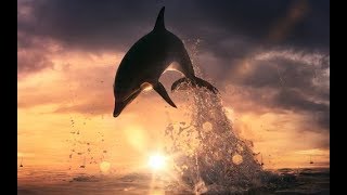 Océano de sol  -Antonio Vega-