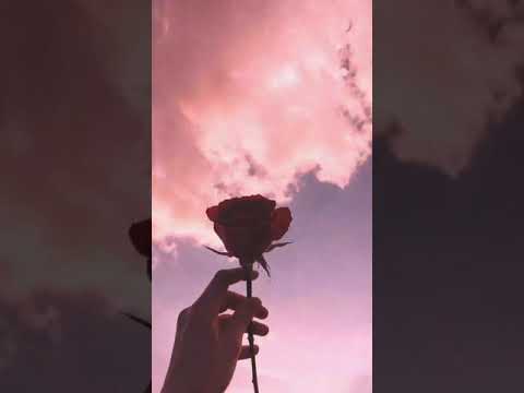 Büyük Ev Ablukada - Aynı günün gecesi (cover)