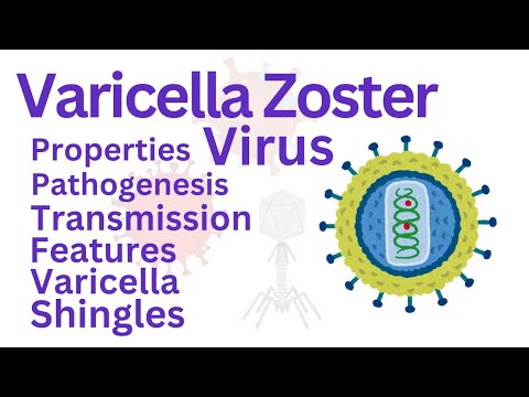 Varicella Zoster Virus:Chicken pox,shingles Properties,transmission,pathogenesis,clinical findings