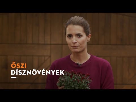 , title : 'Milyen dísznövényeket érdemes ősszel ültetni?'