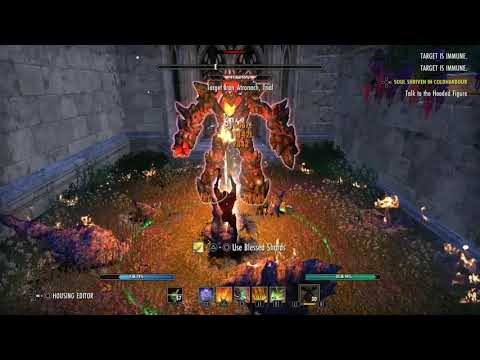 The Elder Scrolls Online: Markarth, Stamina Dragonknight PVE 91k+ trail dummy parse