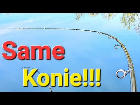 An amazing day with Method Feeder! All Horses! The fishing is amazing! PZW