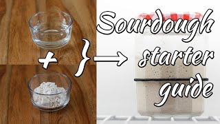 Sourdough starter