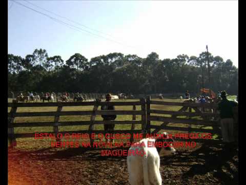 DIA A DIA DE FAZENDA - GRUPO RENASCENÇA.wmv