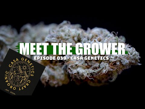 Meet the Grower Ep. 039 - Casa Genetics #marshydro #ilgm