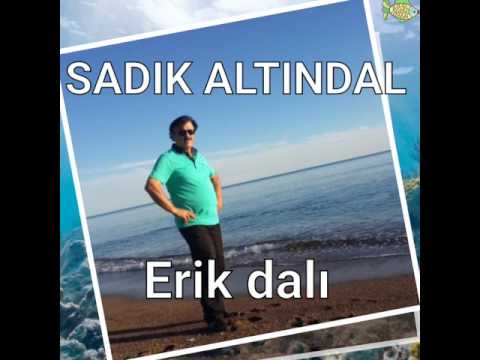 SADIK ALTINDAL ( ERİK DALI )