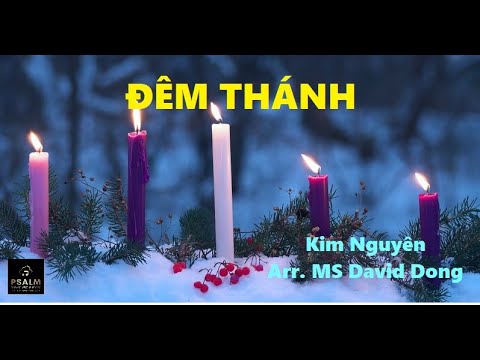 Đêm Thánh - O Holy Night (Kim Nguyên) Arr. MS David Dong