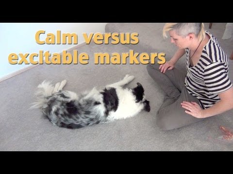 STOP UNWANTED behaviors with BACK UP