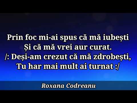 NEGATIV MÂINILE TALE DE OLAR - ROXANA CODREANU