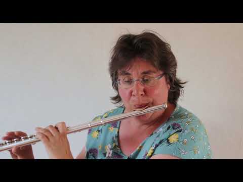 Leer dwarsfluit spelen in Scherpenzeel