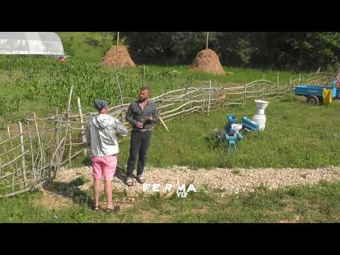 Valeri prezanton Robertin me kafshët e fermës | Ferma Vip