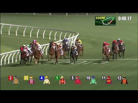 10/3/2021 (494) Travel Datuk - Matthew Poon