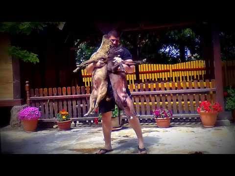 Sreta - Freestyle - Volume 2. (Serbian Rap) 2014