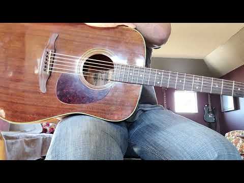 Fender NEWPORTER 1986 with PREAMP/TUNER & HSC image 19